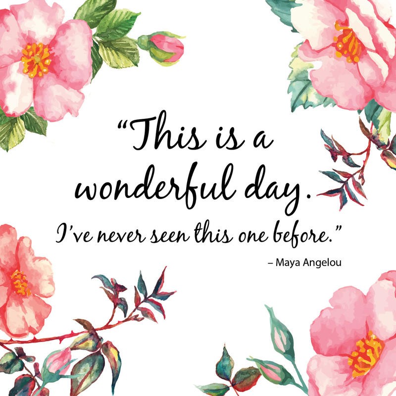 Victoria Brown, WONDERFUL AND BEAUTY I (Inspiration, Motivation, Blumen, Rosen, schöner Tag, positiv, Kalligrafie, Panele, Treppenhaus, Jugendzimmer, Wohnzimmer, Wunschgröße, Grafik,)
