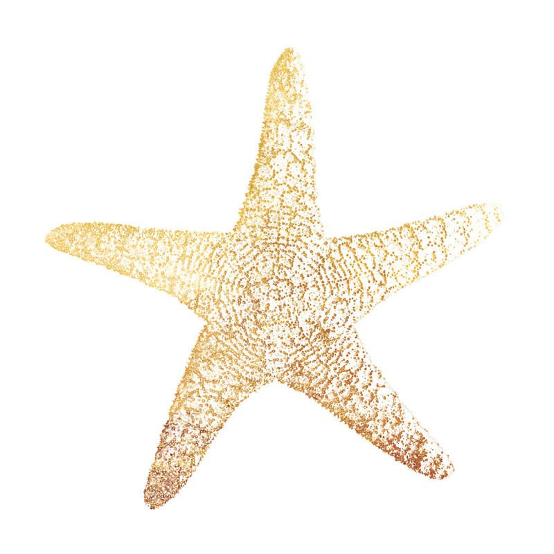 Victoria Brown, GOLD FOIL STARFISH (Seestern, maritim, Grafik, Treppenhaus, Wohnzimmer, Badezimmer, Wunschgröße, weiß/gold)