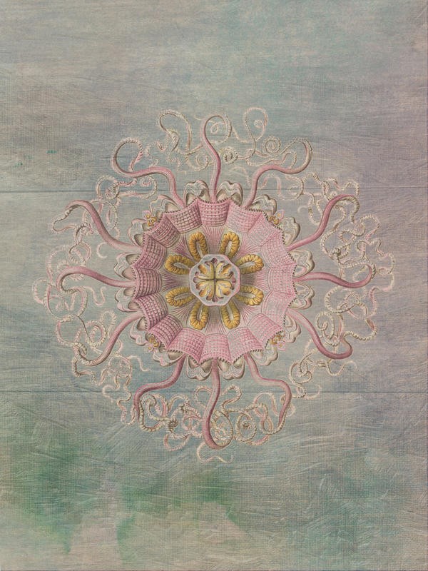 Sheldon Lewis, OCEAN BLEND I (Qualle, Meerestier, maritim, Wunschgröße, Grafik, Badezimmer, Treppenhaus, Wohnzimmer, pastell)
