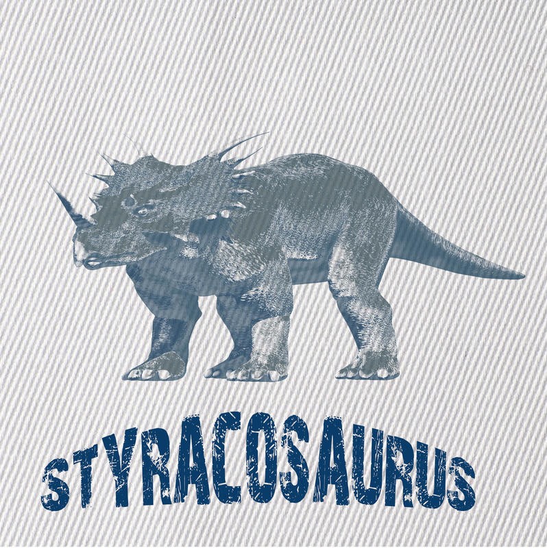 Sheldon Lewis, DINO I (Dinosaurier, Pflanzenfresser, Echse,  Ceratopsidae, ausgestorben, Typologie, Wunschgröße, Grafik, Kinderzimmer, Treppenhaus, bunt)