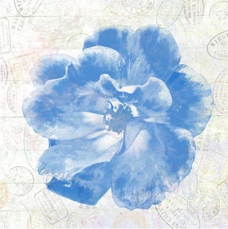 Sheldon Lewis, FLORAL ADVENTURE I (Blume, Rose, Poststempel, Nostalgie, Grafik, Wunschgröße, Treppenhaus, Wohnzimmer, Schlafzimmer, blau/grau)
