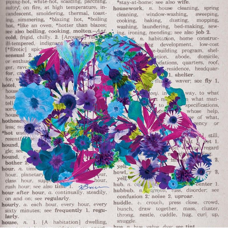 Victoria Brown, COLORFUL SKULL III (Totenkopf, Blumen, Blüten, Jung und Wild, Buchseite, Lexikonseite, Grafik, Jugendzimmer, Treppenhaus,  Wunschgröße, bunt)