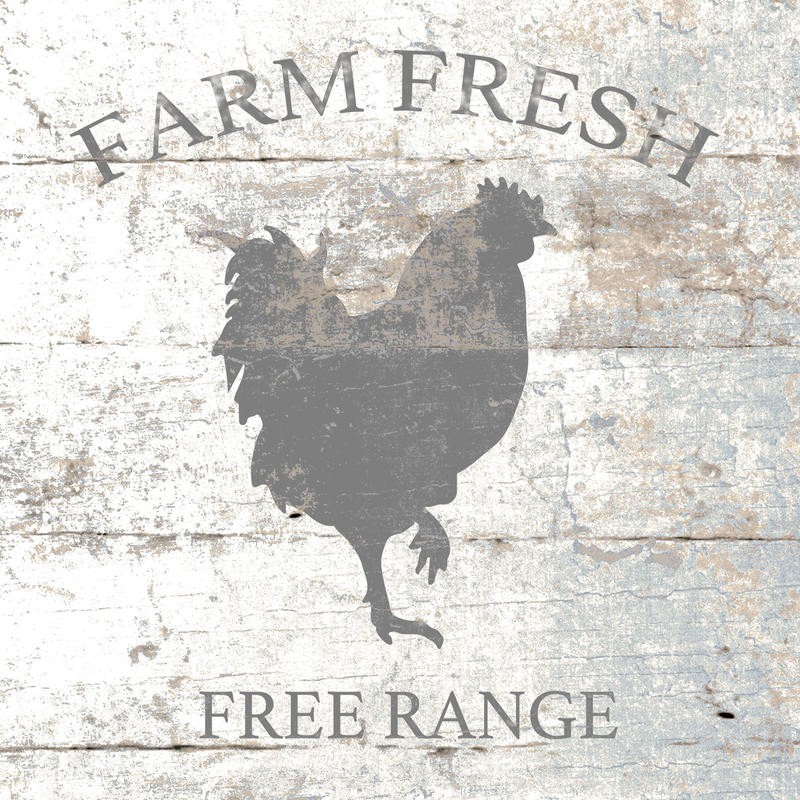 Victoria Brown, FARM FRESH II (Huhn, Henne, Geflügel, Schild, Holzpanel, Grafik, Esszimmer, Küche, Treppenhaus, Wunschgröße, grau/beige)