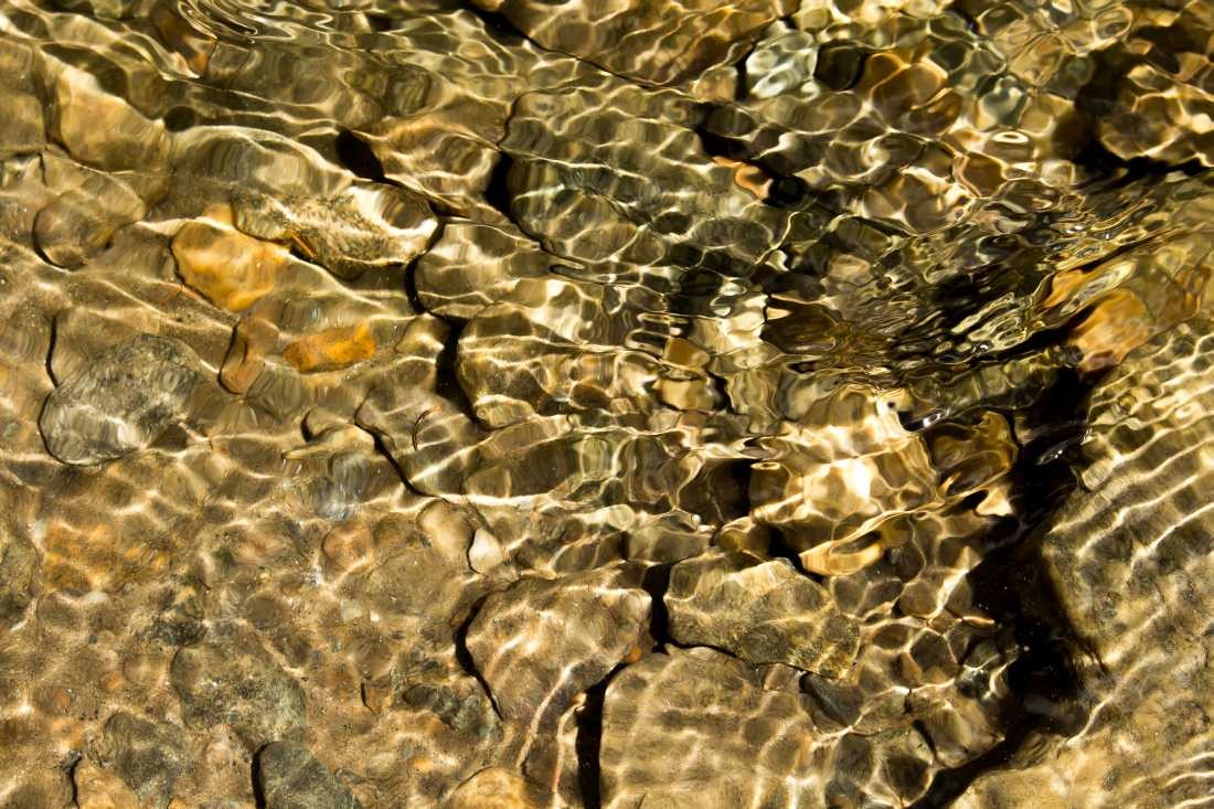 Conny Krakowski, Der Fluss des Lebens (Steine, Zen, Steinmännchen,neues Leben, Planze, Fluss, Wasser, Natur, Kraft, Urwüchsigkeit, Ruhe, Stille, Conny, Krakowski, Fotografie,)