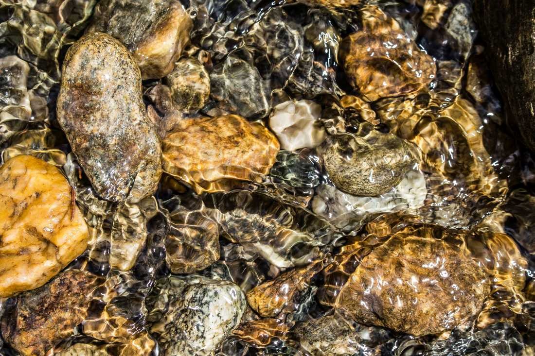 Conny Krakowski, Unter der Oberfläche (Steine, Zen, Steinmännchen,neues Leben, Planze, Fluss, Wasser, Natur, Kraft, Urwüchsigkeit, Ruhe, Stille, Conny, Krakowski, Fotografie,)