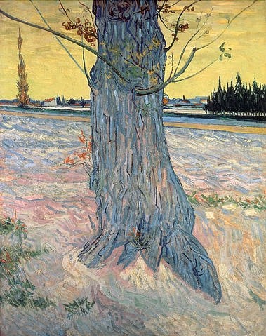 Vincent van Gogh, Der Baum. Arles, September 1888 (Gogh,Vincent van,1853-1890,Christie's Images Ltd,Öl auf Leinwand,Gogh,Vincent Gogh,19. Jahrhundert,Postimpressionismus,Post-Impressionismus,freie Farbgebung,Stamm,Baum,Rinde,Baumrinde,Nahaufnahme,knorrig,dürr,öde,alter Baum,gelber Himmel)