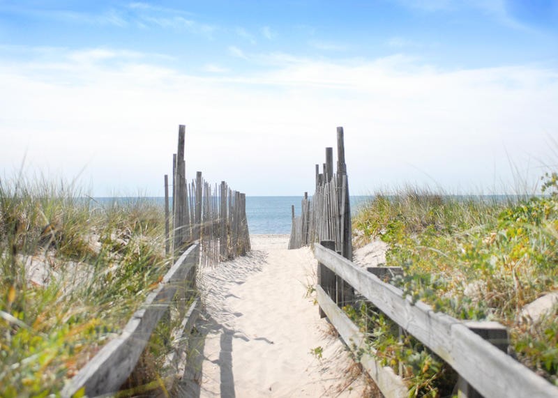Suzanne Foschino, OCEAN WALKWAY I (Meer, Strand, Düne, dünenweg, Dünengraß, maritim, Meeresbrise, Wohnzimmer, Treppenhaus, Arztpraxis, Fotografie, Wunschgröße, bunt)