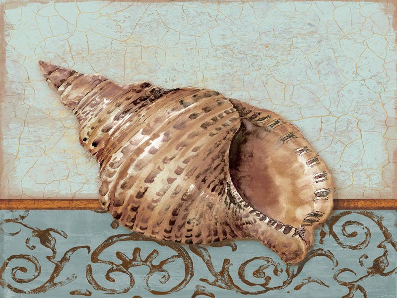 Sunny, CLAM SHELL II (MARITIM)