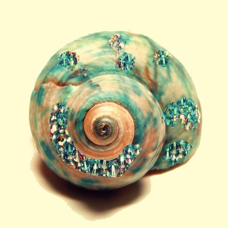 Taylor Greene, JEWELED SHELL I (Schnecke, Schneckenhaus, Glitzersteine, maritim, dekorativ, Fotokunst, Badezimmer, Treppenhaus, Wunschgröße)