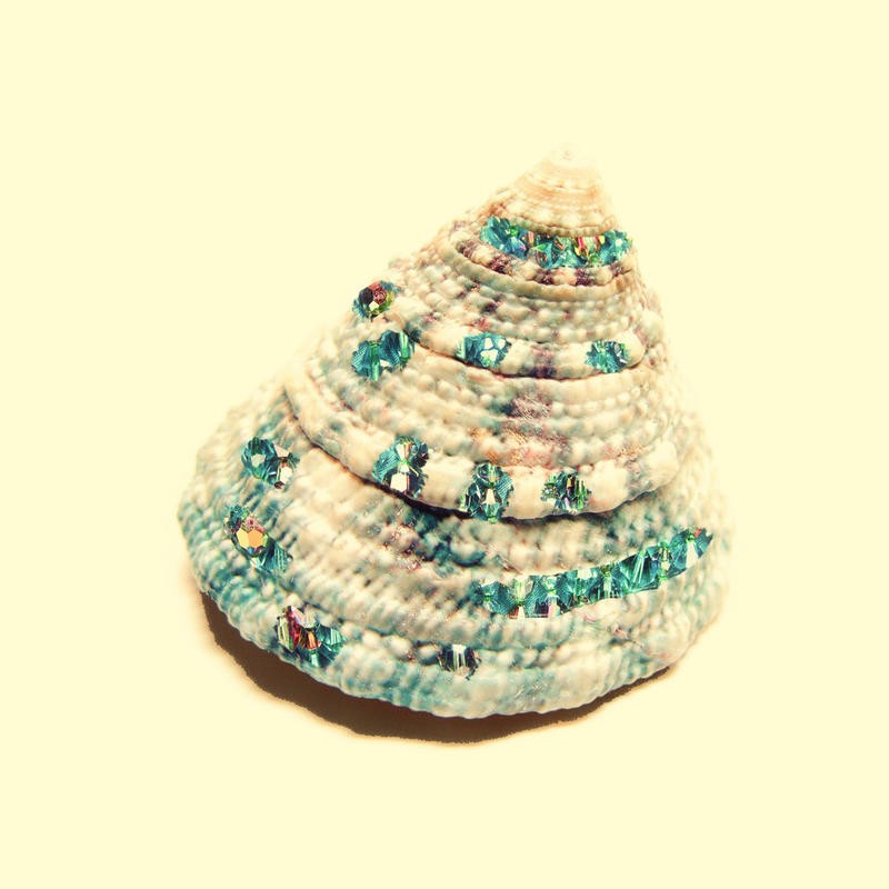 Taylor Greene, JEWELED SHELL II (Schnecke, Schneckenhaus, Glitzersteine, maritim, dekorativ, Fotokunst, Badezimmer, Treppenhaus, Wunschgröße)