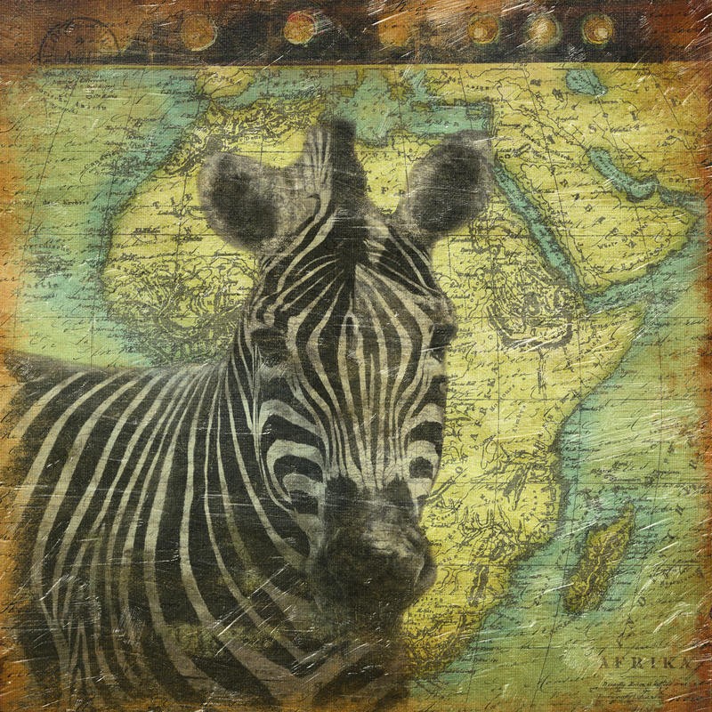 Jace Grey, MAP WITH ZEBRA I (TIERE)