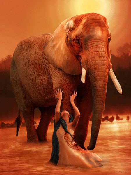 Babette, ELEPHANT RITUAL (Magierin, Elefant, Tirual, religiös, Sonnenuntergang, Stimmung, Magie, mystisch, Fantasy, Traumwelt, Märchen, Jugendzimmer, Schlafzimmer, Wohnzimmer, Treppenhaus, Wunschgröße, Digitalkunst, orange/braun)