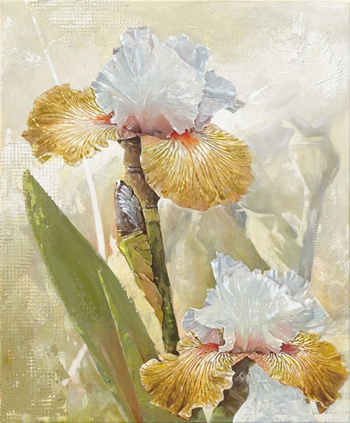 Enrico Sestillo, VANILLA IRIS II (Modern, Malerei, naturalistisch, Pflanze, Blume, Blüte, Blütenblätter, Wohnzimmer, Schlafzimmer, Wunschgröße, weiß)