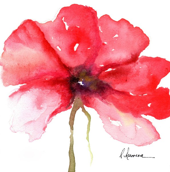 Leticia Herrera, WATERCOLOR POPPY I (Blume, Mohnblume, Aquarell, Malerei, modern, zeitgenössisch,   Wunschgröße, Wohnzimmer,  Treppenhaus, Wunschgröße, rot/weiß)