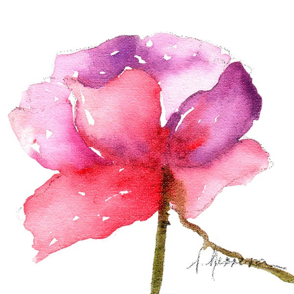 Leticia Herrera, WATERCOLOR POPPY III (Blume, Mohnblume, Aquarell, Malerei, modern, zeitgenössisch,   Wunschgröße, Wohnzimmer,  Treppenhaus, Wunschgröße, rot/weiß)
