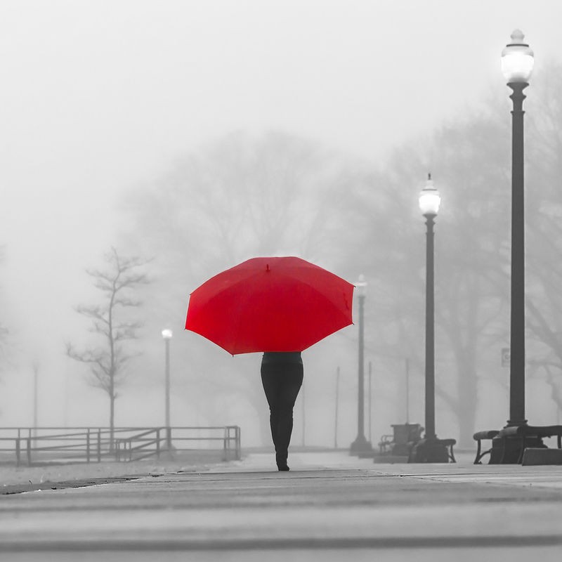 Sandro De Carvalho, BRIGHT UMBRELLA (Regenwetter, Wetter, Spaziergänger, People & Eros, Menschen, roter Regenschirm, Park, Weg, Colorspot, Fotokunst, Treppenhaus, Wohnzimmer, Wunschgröße, schwarz/weiß, rot)