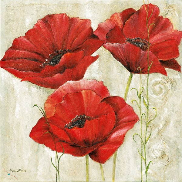 Anna Field, THREE RED POPPIES II (Blumen, Mohnblumen, Blüten, Blütenblätter, floral, modern, zart, Wunschgröße, Wohnzimmer, Treppenhaus, Esszimmer, rot/beige)