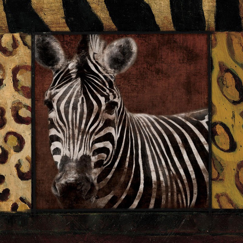 Jace Grey, BORDERED ZEBRA (Zebra, Tier, Tierportrait, animal Print Rahmen, moderne Malerei, Treppenhaus, Wohnzimmer, Wunschgröße, bunt)