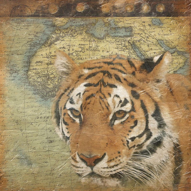Jace Grey, MAP WITH TIGER I (TIERE)