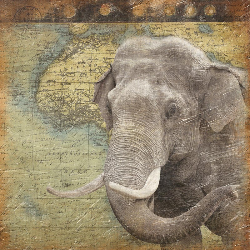Jace Grey, MAP WITH ELEPHANT I (TIERE)