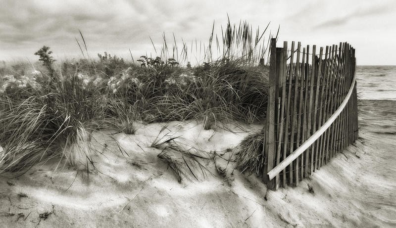 Diane Woods, DUNE FENCE I (Maritim, Strand, Meeresbrise, Düne, Sand, Dünengras, Meer, Wunschgröße, Wohnzimmer, Badezimmer, grau/sepia)