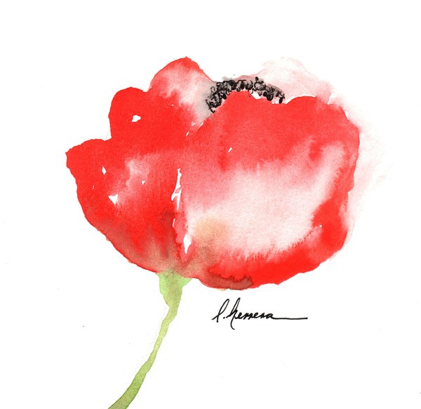 Leticia Herrera, WATERCOLOR POPPY II (Blume, Mohnblume, Aquarell, Malerei, modern, zeitgenössisch,   Wunschgröße, Wohnzimmer,  Treppenhaus, Wunschgröße, rot/weiß)