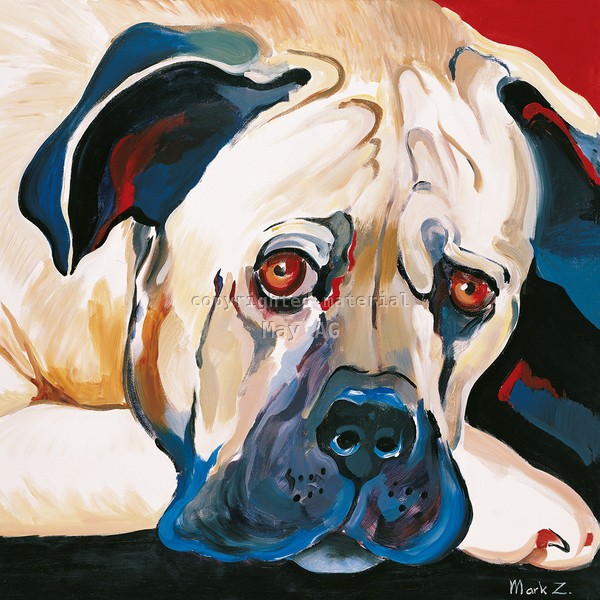 Mark Z, Dog rocks II (Hund, Tierportrait, traurig, , Tiere, Treppenhaus, Wohnzimmer, Wunschgröße, Malerei, bunt)