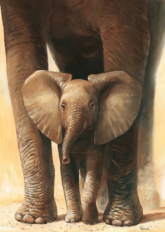 Renee, Elephant love II (Elefant, Elefantenkuh, Elefantenmutter, Elefantenbaby, Mutterliebe, naturalistisch, Tiere, Afrika, Wunschgröße, Wohnzimmer, Treppenhaus)