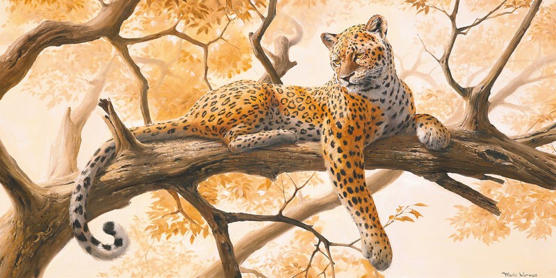 Frank Norman, Laying tiger (Leopard, Großkatze, Raubkatze, Baum, faulenzen, relaxen, Tier, Afrika, Malerei, Treppenhaus, Wohnzimmer, Wunschgröße, bunt)