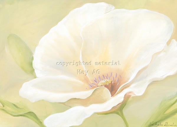 Nathalie Boucher, White flower I (Blumen, Blüte, Blütenblätter, Botanik, Pflanze, zart, Malerei, Treppenhaus, Schlafzimmer, Wohnzimmer, Wunschgröße, pastellfarben)