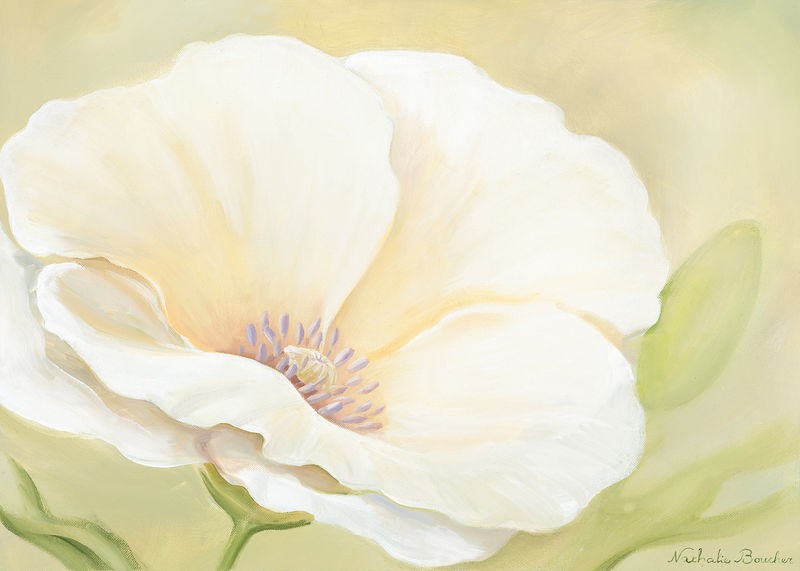 Nathalie Boucher, White flower II (Blumen, Blüte, Blütenblätter, Botanik, Pflanze, zart, Malerei, Treppenhaus, Schlafzimmer, Wohnzimmer, Wunschgröße, pastellfarben)