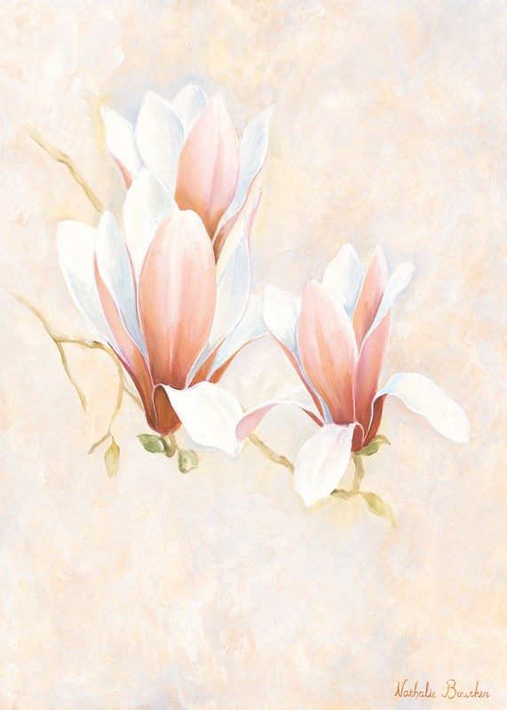 Nathalie Boucher, Magnolia 2-3 (Blumen, Blüte, Blütenblätter, Botanik, Pflanze, zart, Malerei, Treppenhaus, Schlafzimmer, Wohnzimmer, Wunschgröße, pastellfarben)