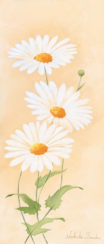 Nathalie Boucher, White margarite I (Blumen, Blüte, Blütenblätter, Margeritten, Botanik, Pflanze, zart, Malerei, Treppenhaus, Schlafzimmer, Wohnzimmer, Wunschgröße, pastellfarben)