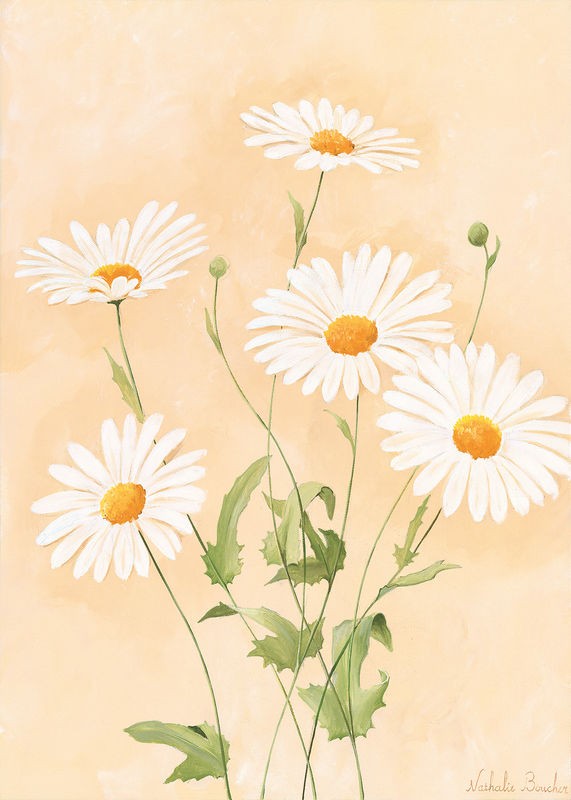 Nathalie Boucher, White margarite II (Blumen, Blüte, Blütenblätter, Margeritten, Botanik, Pflanze, zart, Malerei, Treppenhaus, Schlafzimmer, Wohnzimmer, Wunschgröße, pastellfarben)