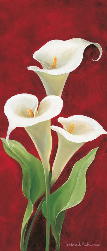 Gertrud Schweser, Calla on burgundy I (Calla, Blume, Blütenkelch, Blütenblätter, Botanik, Wunschgröße, Malerei, Treppenhaus, Wohnzimmer, Esszimmer, bunt)