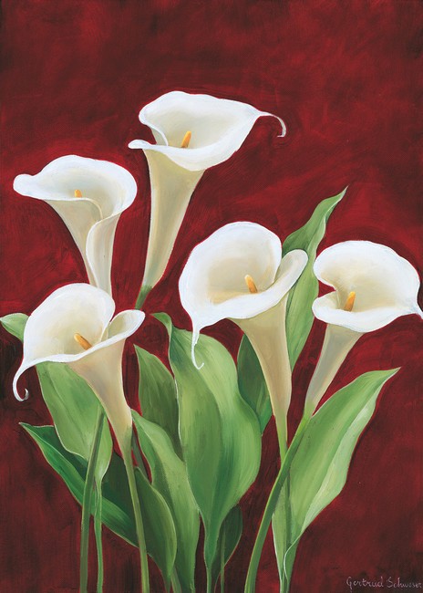 Gertrud Schweser, Calla on burgundy II (Calla, Blume, Blütenkelch, Blütenblätter, Botanik, Wunschgröße, Malerei, Treppenhaus, Wohnzimmer, Esszimmer, bunt)