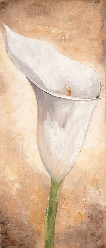 Lenna Lotus, Calla Lilly I (Kalla, Blume, Blüte, Pflanze, Treppenhaus, Wohnzimmer, Esszimmer, Wunschgröße, Malerei, weiß)
