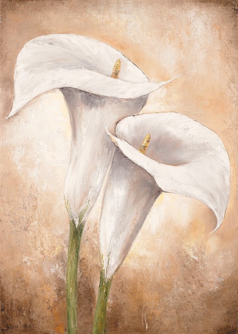 Lenna Lotus, Calla Lilly II (Kalla, Blumen, Blüten, Pflanzen, Treppenhaus, Wohnzimmer, Esszimmer, Wunschgröße, Malerei, weiß)