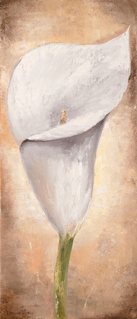 Lenna Lotus, Calla Lilly III (Kalla, Blume, Blüte, Pflanze, Treppenhaus, Wohnzimmer, Esszimmer, Wunschgröße, Malerei, weiß)