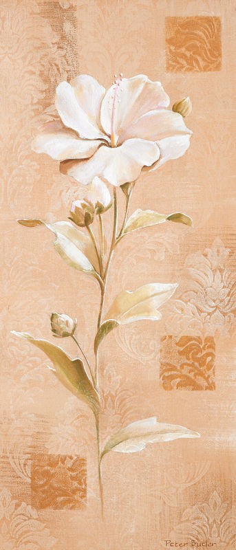 Peter Butler, Dream in cream I (Blume,  Blüten, Pflanze, geometrische Muster, modern, Treppenhaus, Wohnzimmer, Esszimmer, Wunschgröße, apricot)