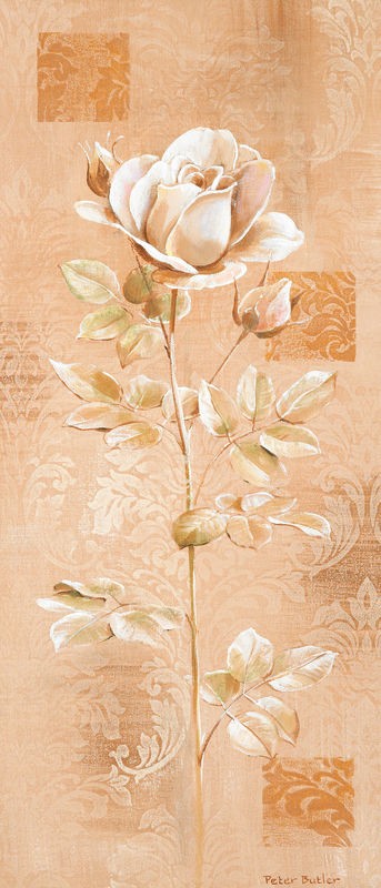 Peter Butler, Dream in cream II (Rose, Blume,  Blüten, Pflanze, geometrische Muster, modern, Treppenhaus, Wohnzimmer, Esszimmer, Wunschgröße, apricot)