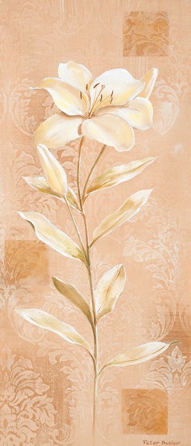 Peter Butler, Dream in cream III (Blume,  Blüten, Pflanze, geometrische Muster, modern, Treppenhaus, Wohnzimmer, Esszimmer, Wunschgröße, apricot)