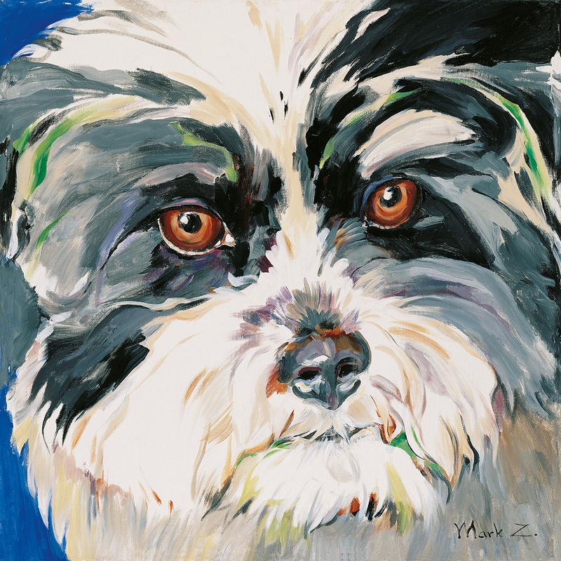 Mark Z, Dog rocks I (Hund, Tierportrait, niedlich, Tiere, Treppenhaus, Wohnzimmer, Wunschgröße, Malerei, bunt)