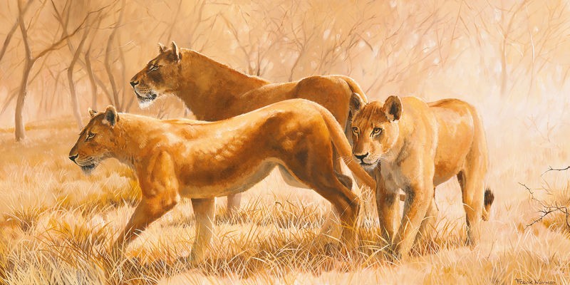 Frank Norman, Pride animals (Löwinnen, stolz, Großkatzen, Raubkatzen, Tiere, Afrika, Malerei, Treppenhaus, Wohnzimmer, Wunschgröße, bunt)