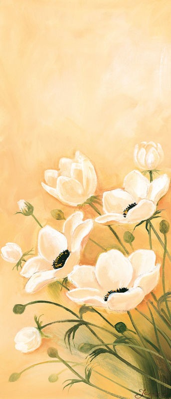 Jasper, White poppies 1-3 (Blumen, weiße Mohnblumen, Blüten, Knospen, Wohnzimmer, Treppenhaus, Schlafzimmer, Wunschgröße, Malerei, pastell, apricot)