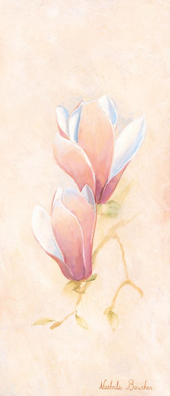 Nathalie Boucher, Magnolia 1-3 (Blumen, Blüte, Blütenblätter, Botanik, Pflanze, zart, Malerei, Treppenhaus, Schlafzimmer, Wohnzimmer, Wunschgröße, pastellfarben)