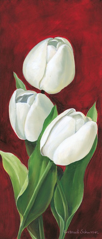 Gertrud Schweser, Tulips on burdundy III (Tulpen, Blume, Blüten, Blütenblätter, Botanik, Wunschgröße, Malerei, Treppenhaus, Wohnzimmer, Esszimmer, weiß/burgundrot)