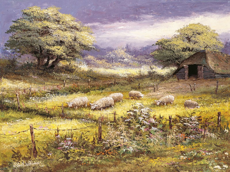Reint Withaar, Sheep (Schuppen, Hütte, Schafe, Nostalgie, Bäume, Landschaft, Idylle, Treppenhaus, Wohnzimmer, Esszimmer, Malerei, Wunschgröße, bunt)