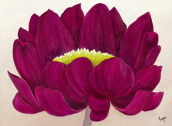 Kaye Lake, RASPBERRY DELIGHT II (Blume, Blüte, Gerbera, Wunschgröße, Wohnzimmer, Treppenhaus, Schlafzimmer, Malerei, Zeitgenössisch, violett)