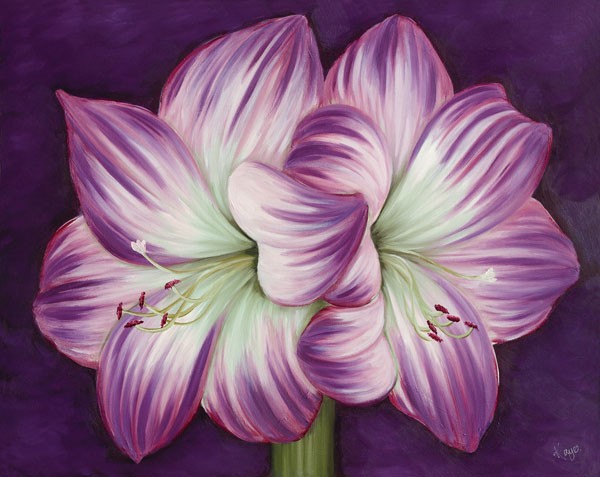 Kaye Lake, PURPLE AMARYLLIS (Blume, Blüte, Amaryllis, Blütenstängel, Wunschgröße, Wohnzimmer, Treppenhaus, Schlafzimmer, Malerei, Zeitgenössisch, violett)